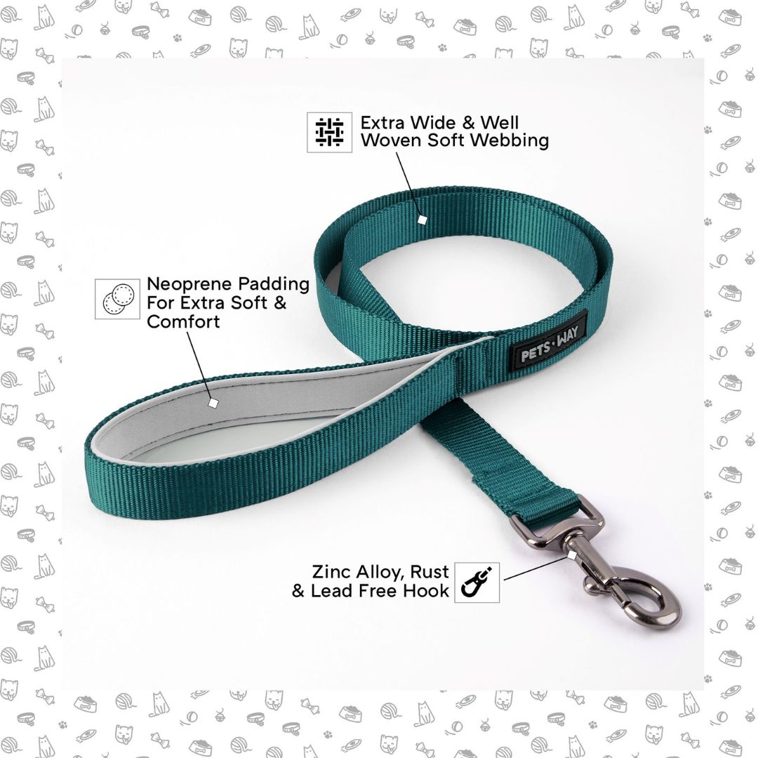 Emerald Dog Leash