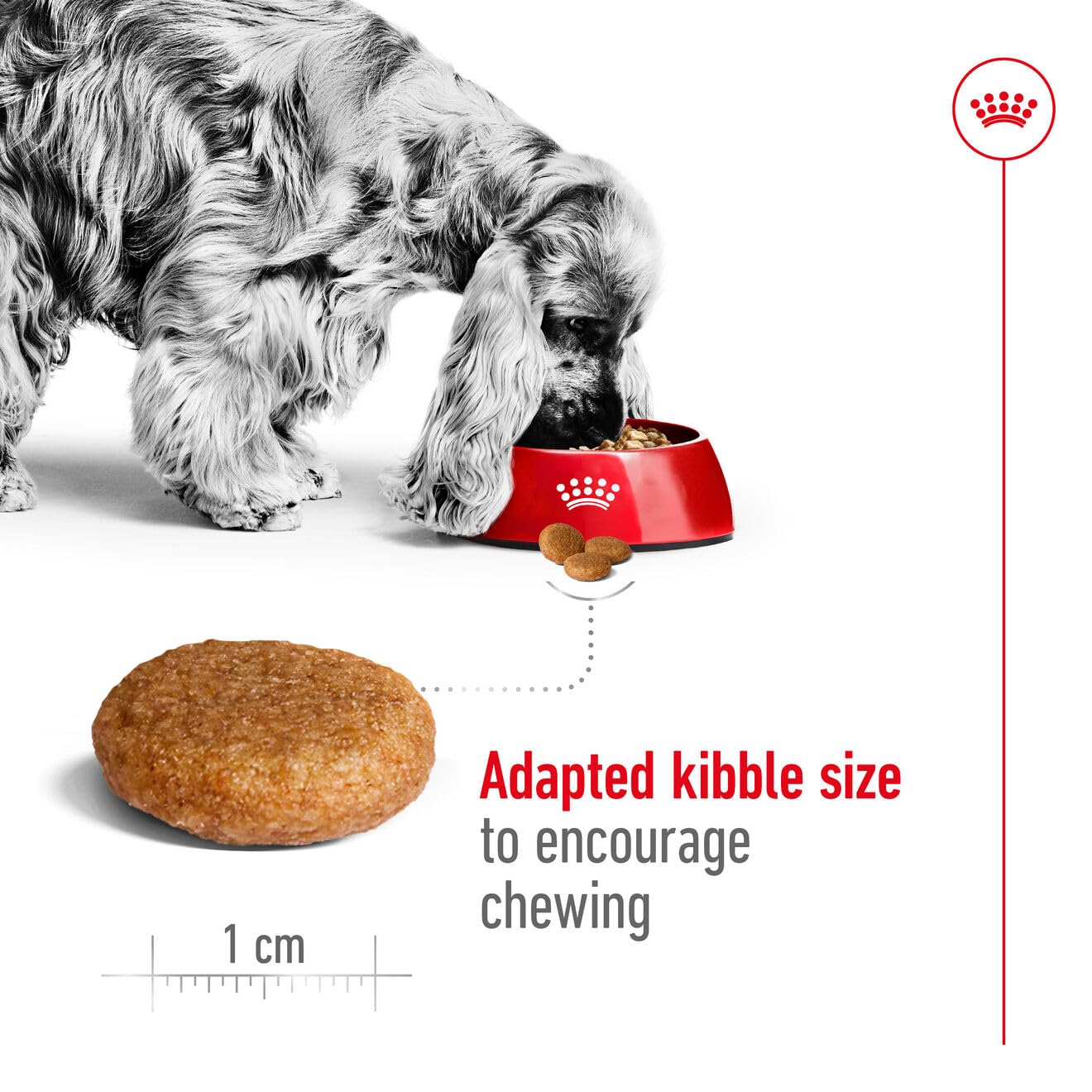 Royal Canin Medium Adult Dog Dry Food