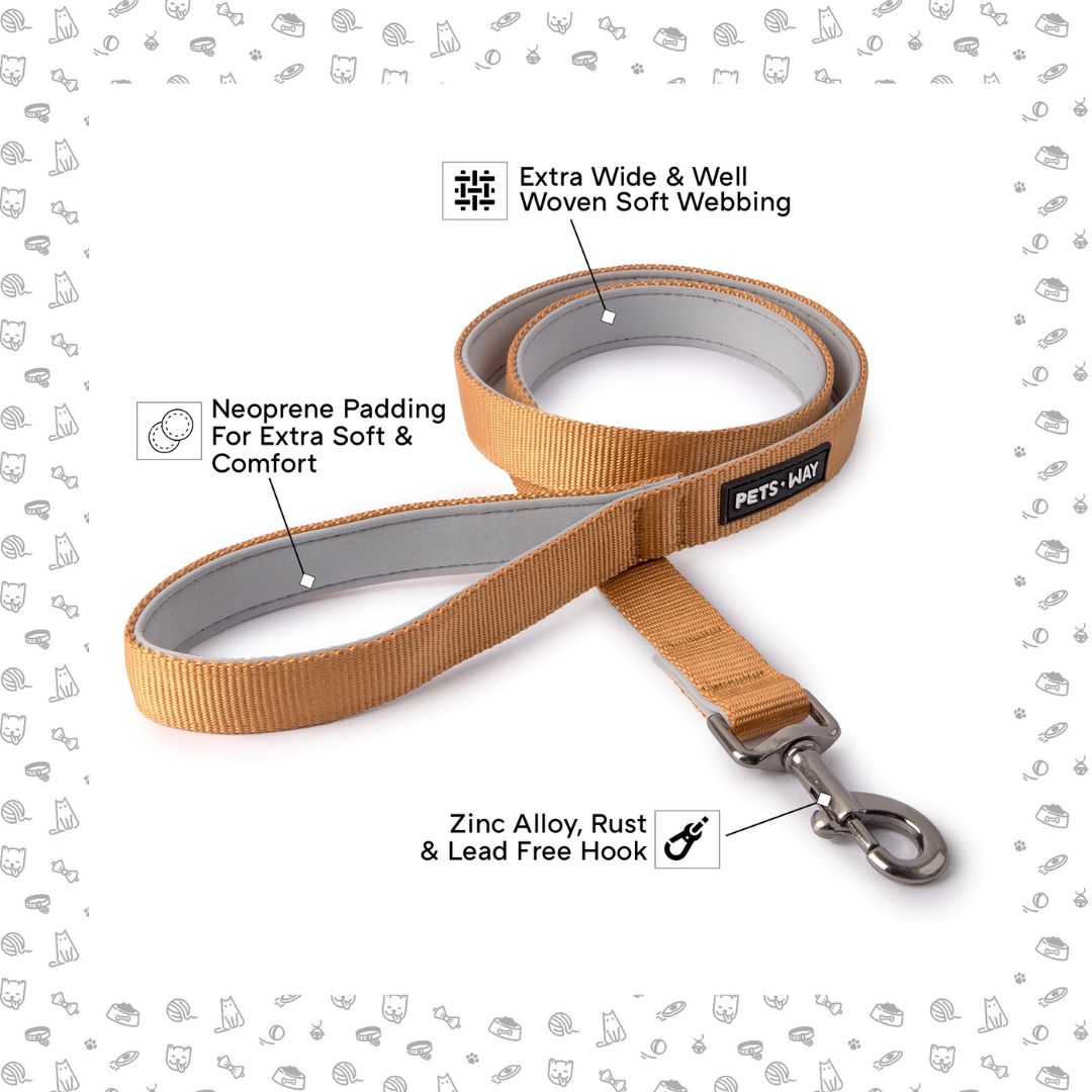 Honey Dog Leash