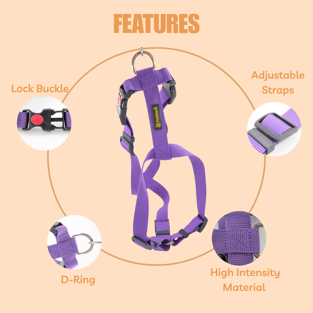 Petblush Premium Solid H Harness with Lock Buckle