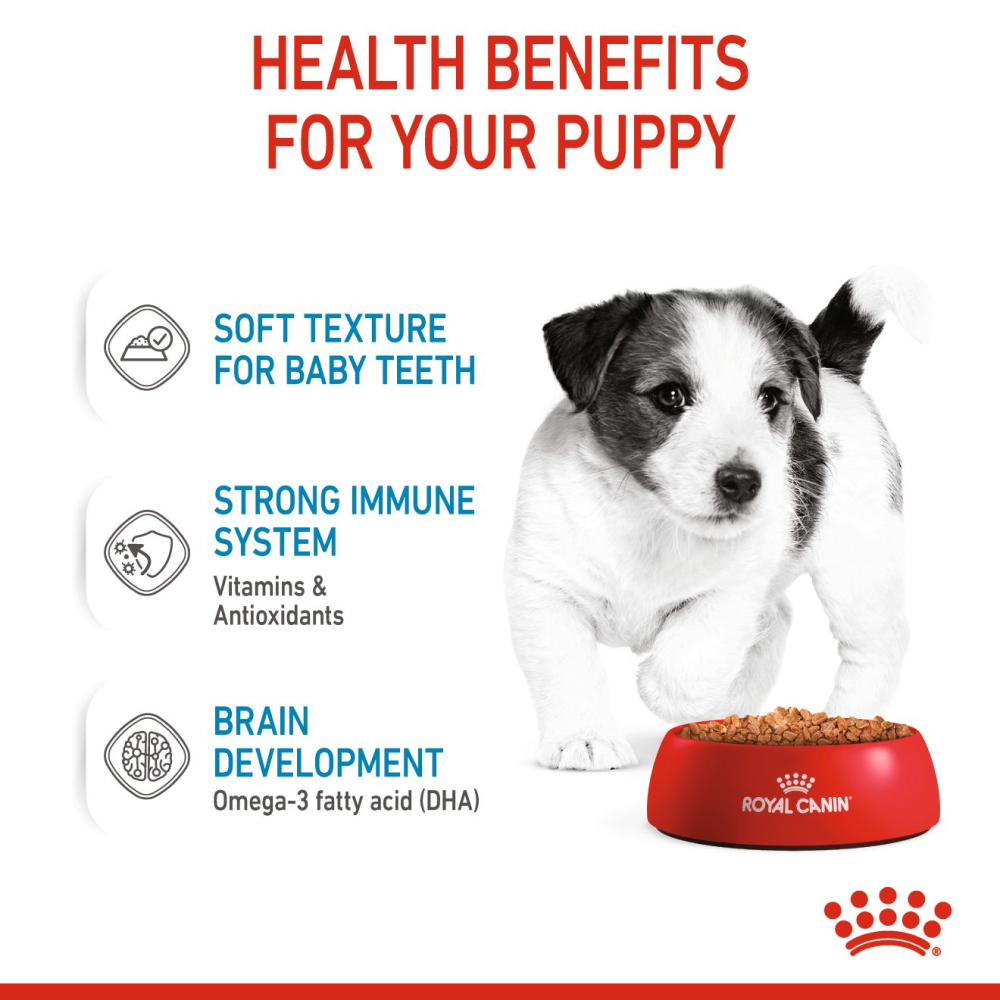 Royal Canin Mini Puppy Dog Wet Food