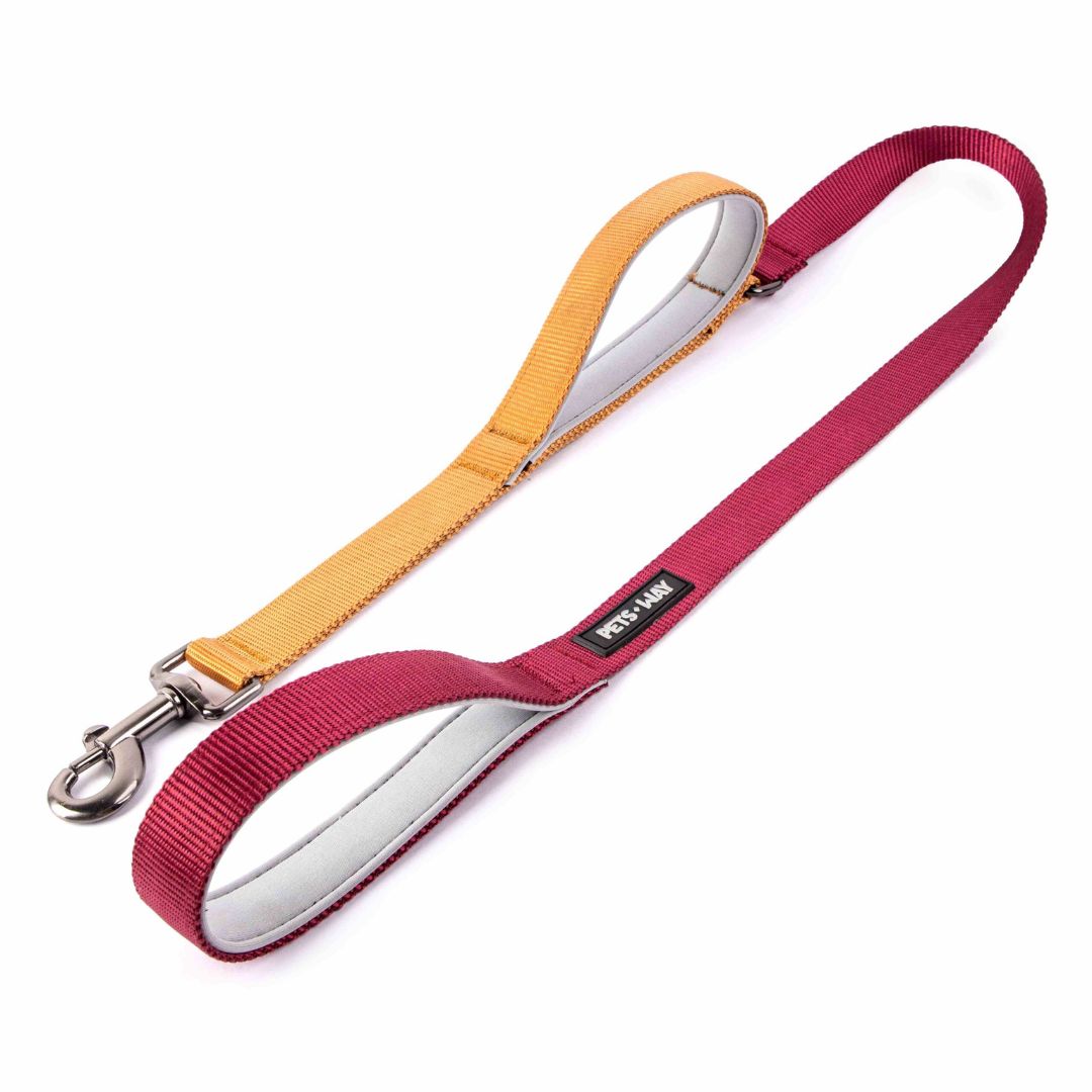 Wine & Honey - Traffic / Dual Handle  Leash