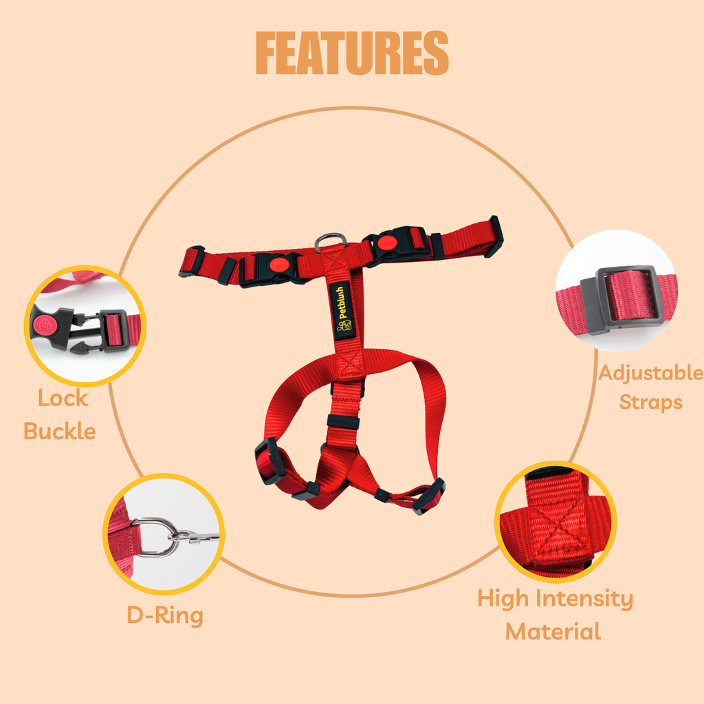 Petblush H Harness with Lock Buckle For Dogs