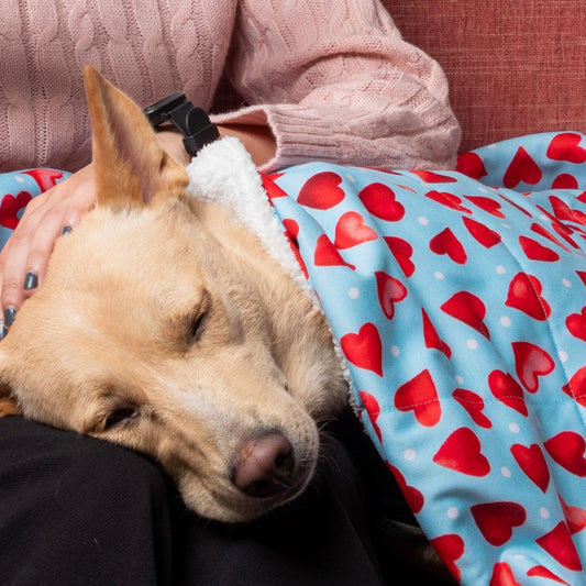 Little Heart Blanket