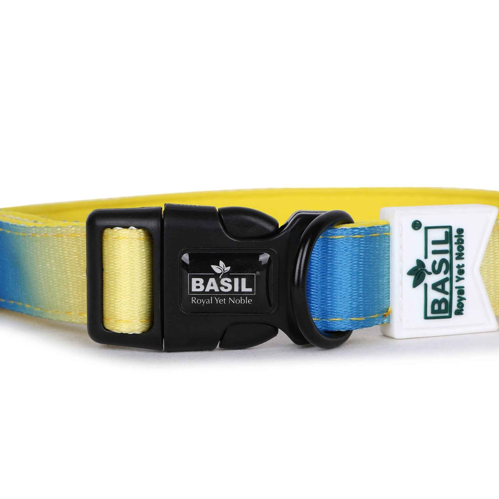 Padded Adjustable Collar for Dogs, Cats & Puppies (Blue & Yellow)