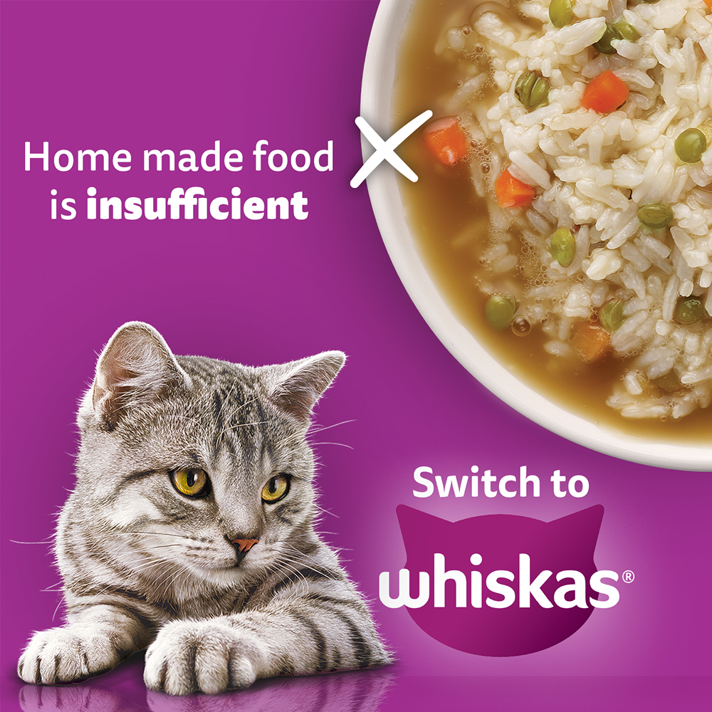 Whiskas Mackerel Flavour Dry Food for Mother and Baby Cat