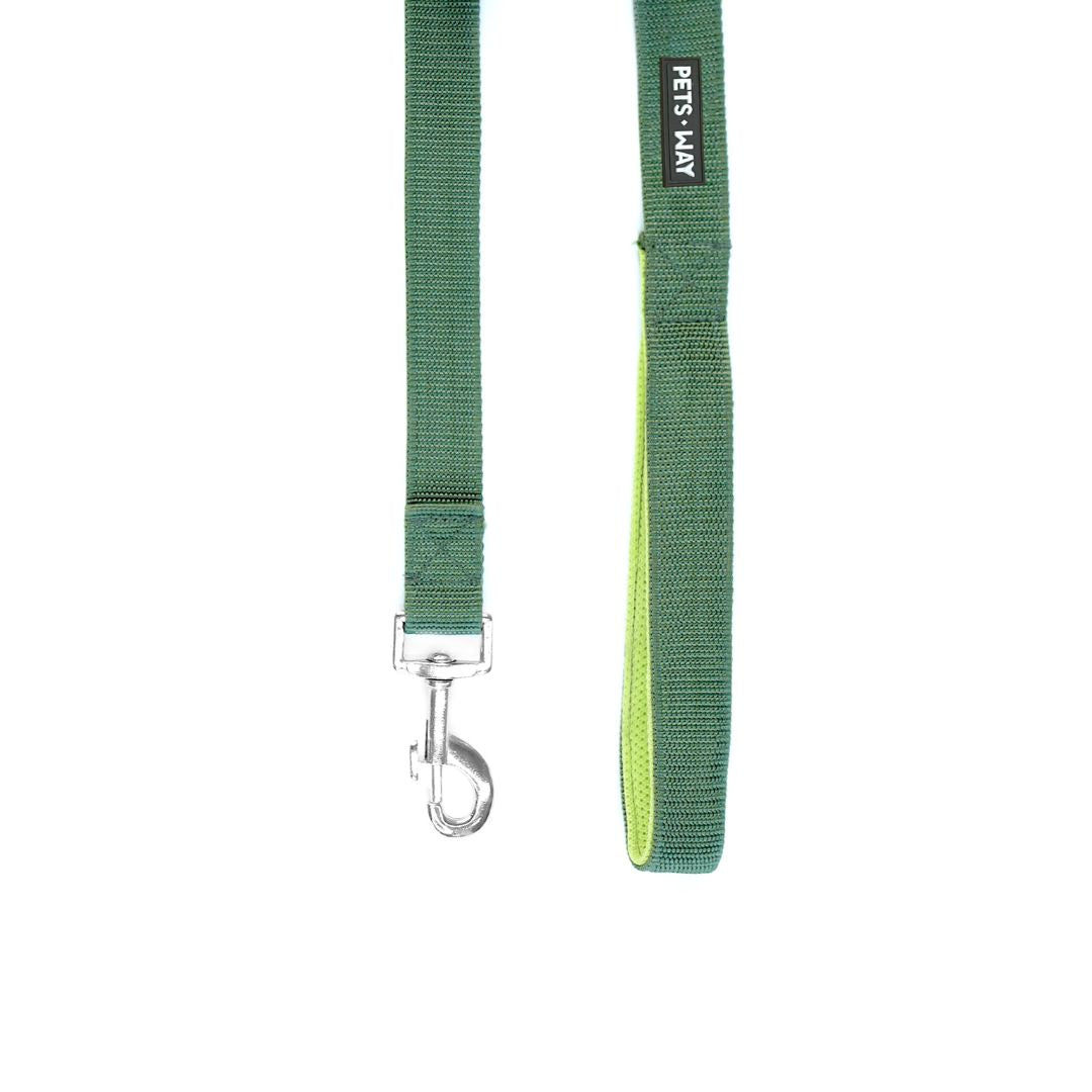 Olive Everyday Dog Leash