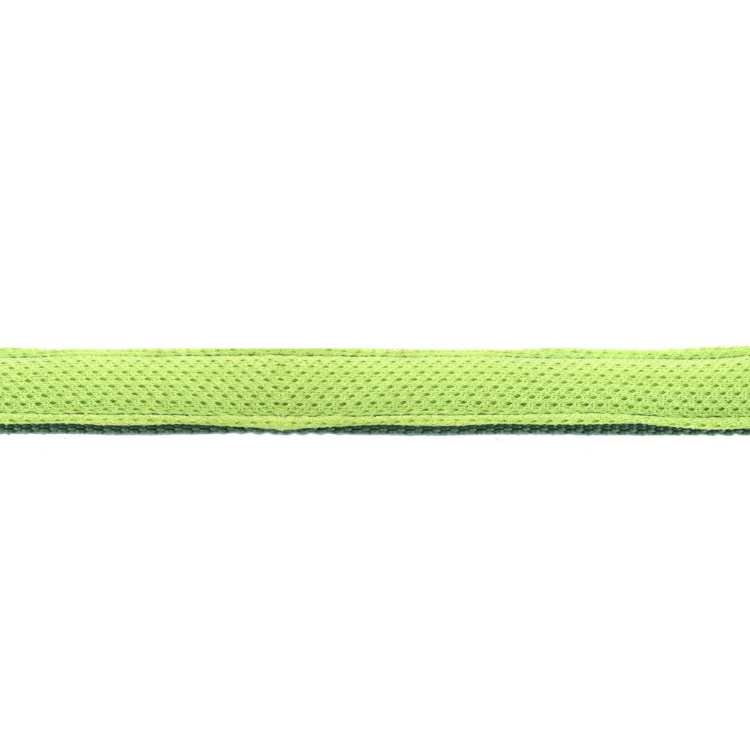 Olive Everyday Dog Leash