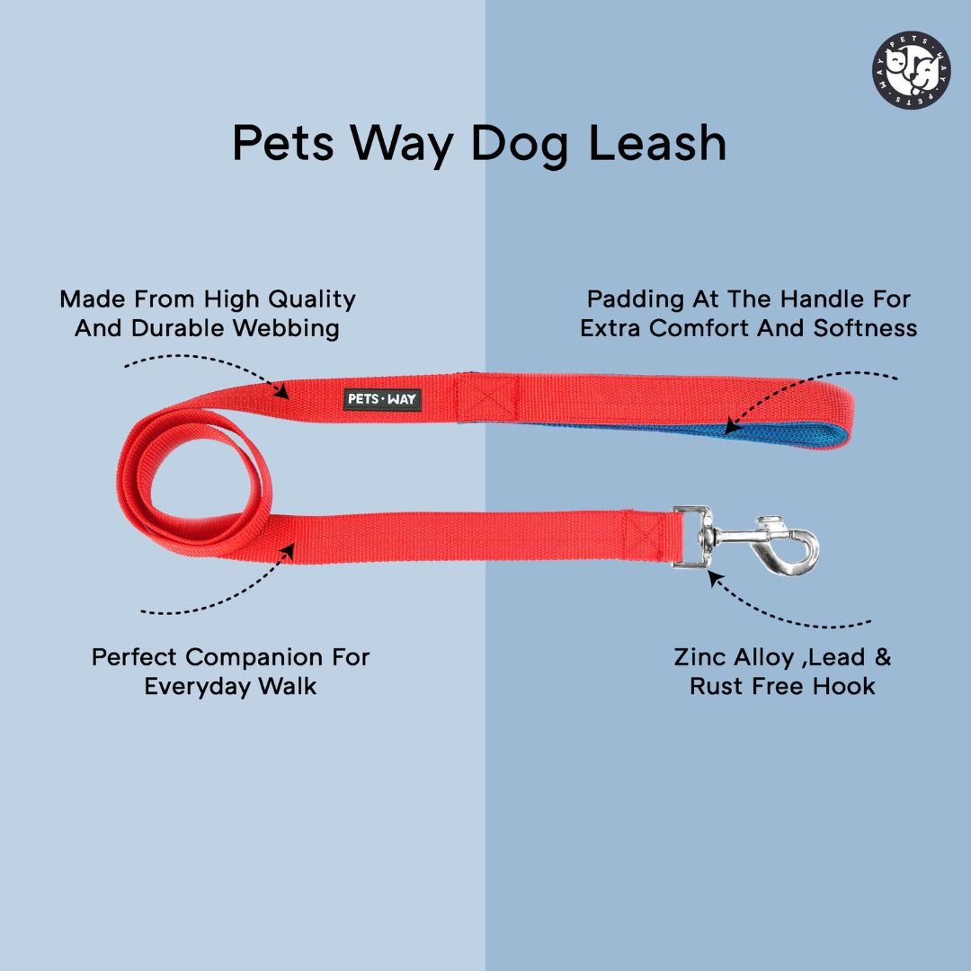 Jam Everyday Dog Leash