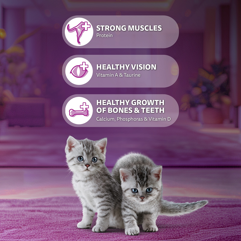 Whiskas Mackerel Flavour Kitten (2 to 12 months)Cat Dry Food
