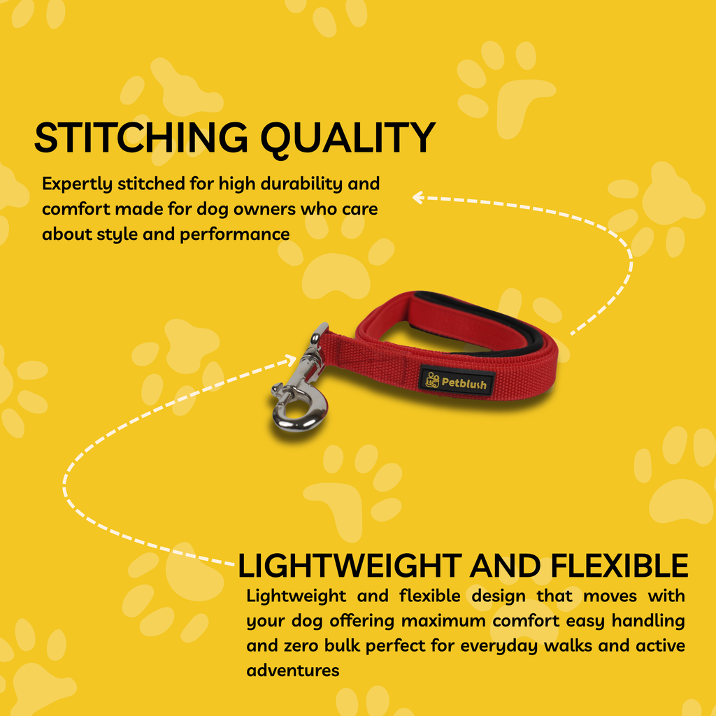 Petblush Everyday Dog Leash with Padded Handle