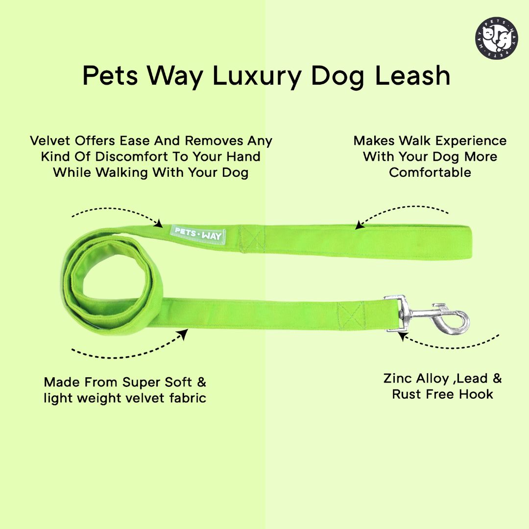 Teal Luxury Velvet Leash