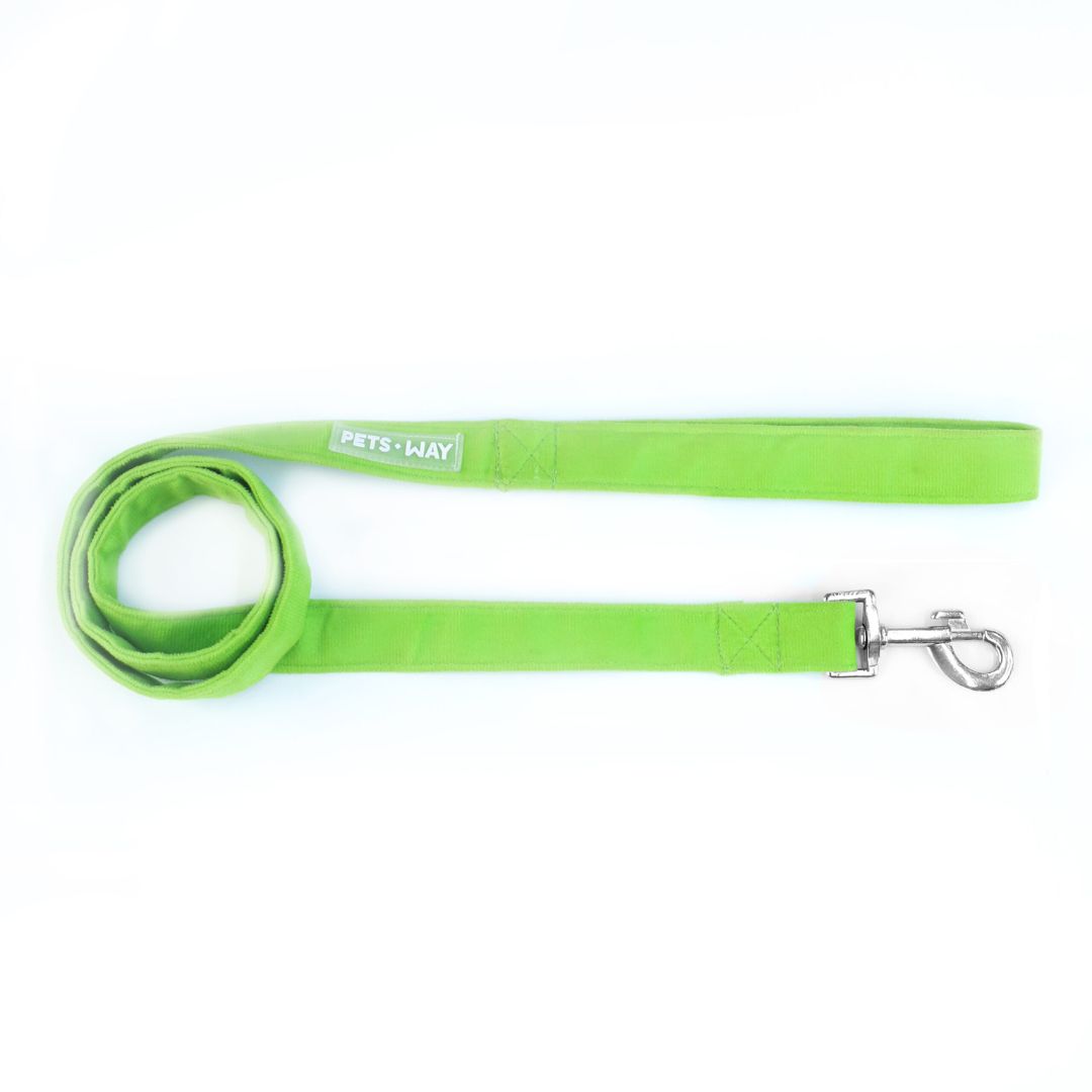 Neon Luxury Velvet Leash