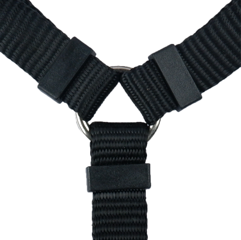 Trixie Premium H Harness for Dogs (Black)