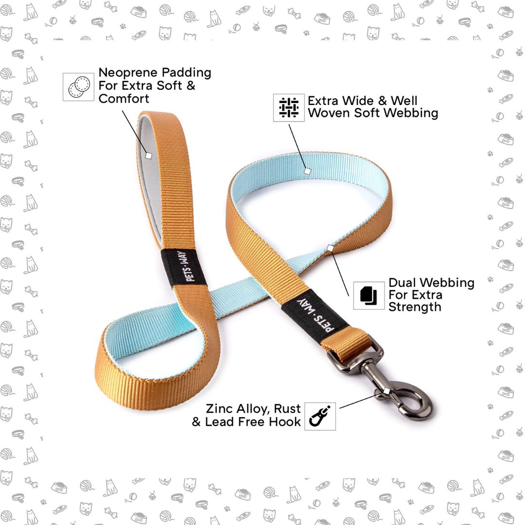 Honey & Sky - Dual Color Leash