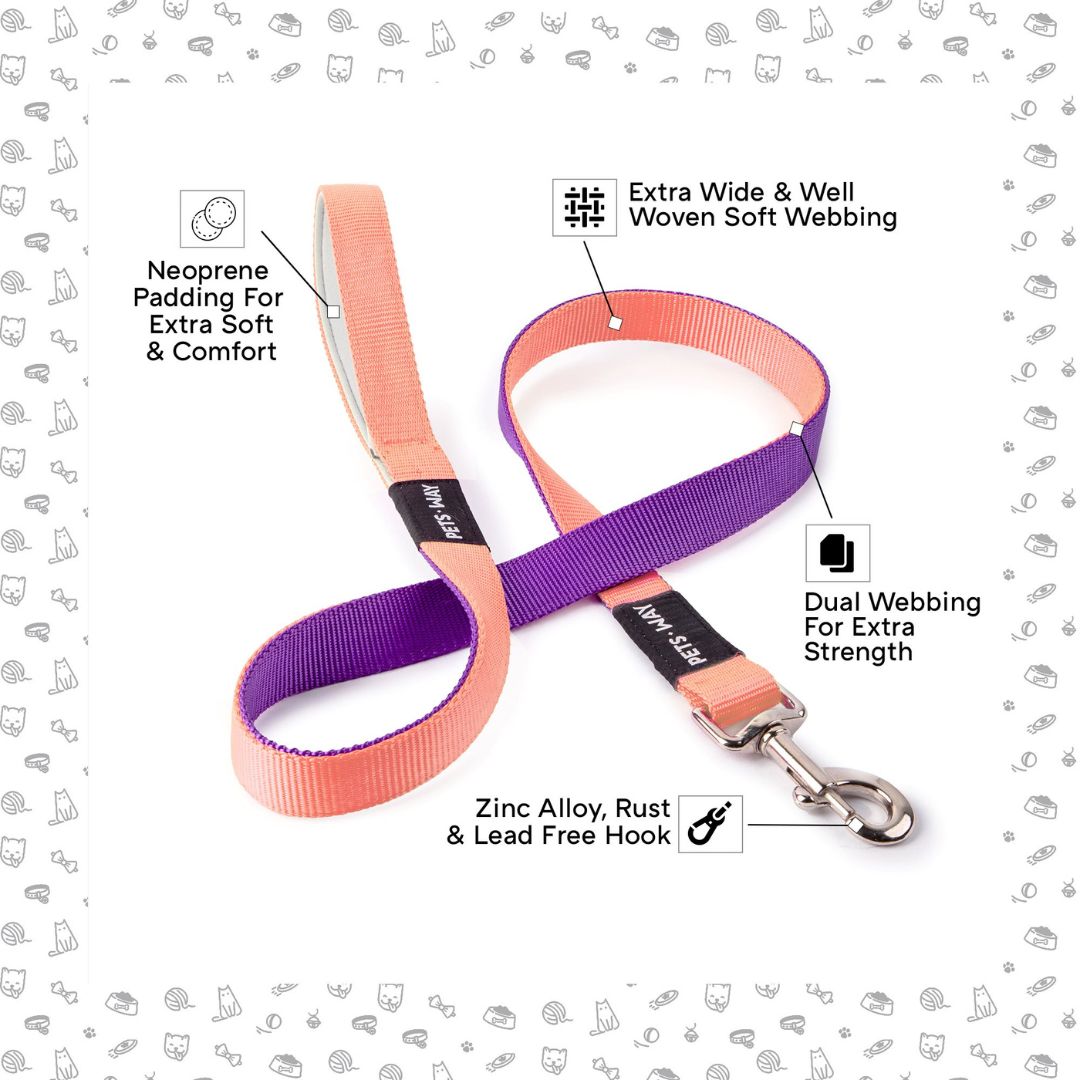 Peach & Amethyst - Dual Color Leash