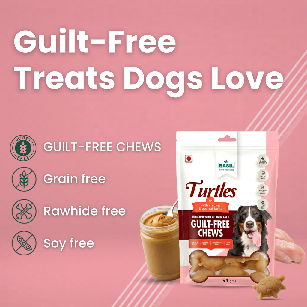 BASIL Turtle with Peanut Butter Guilt-Free Treat for Dogs & Puppies | 94 Grams