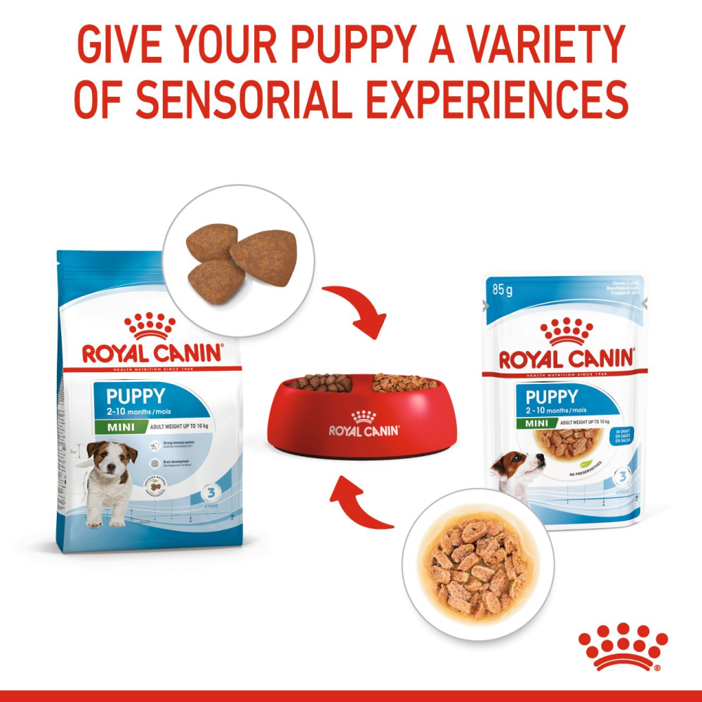 Royal Canin Mini Puppy Dog Wet Food