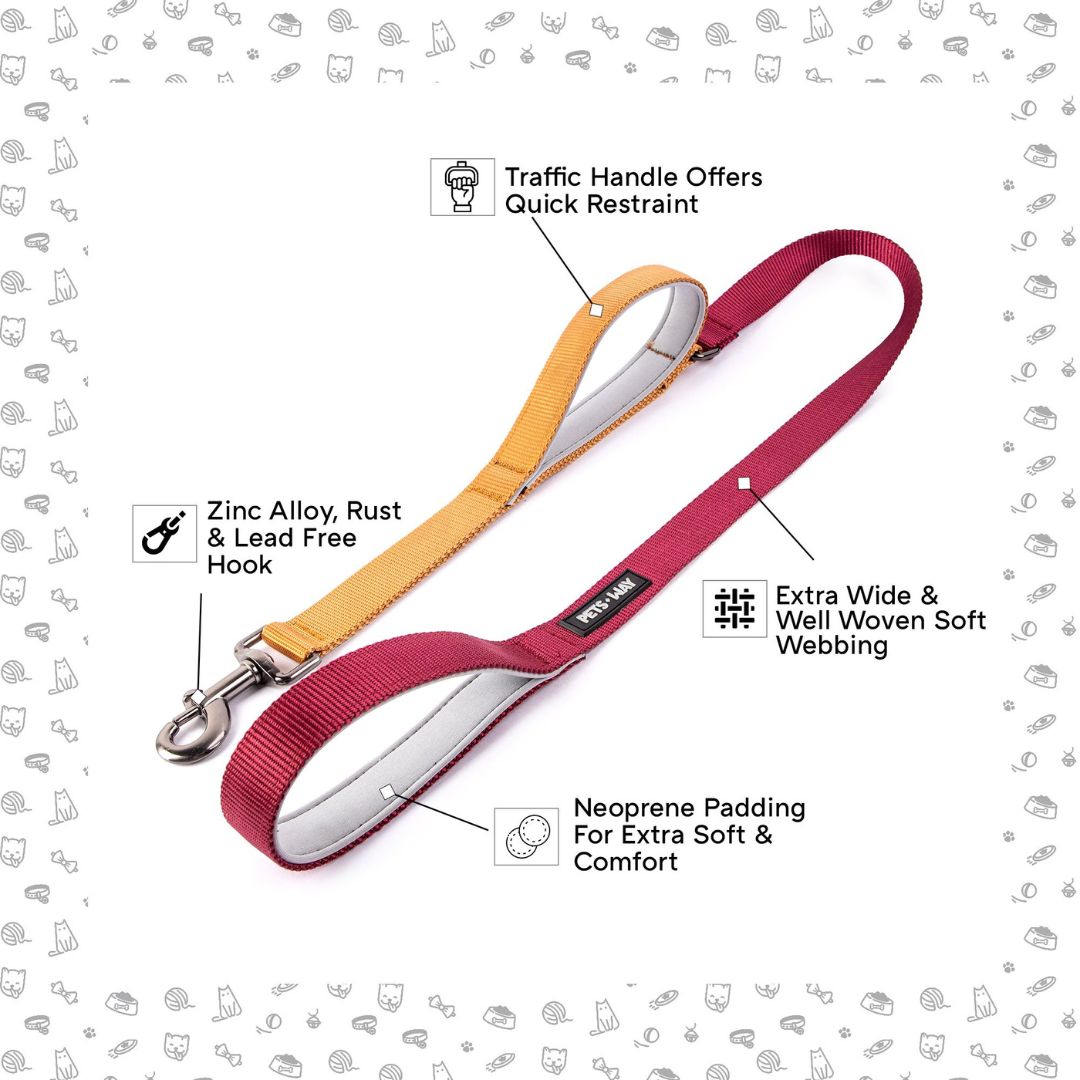 Wine & Honey - Traffic / Dual Handle  Leash