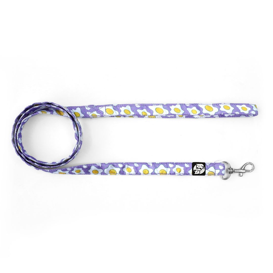 Eggy Puppy & Cat Collar Leash Harness Set