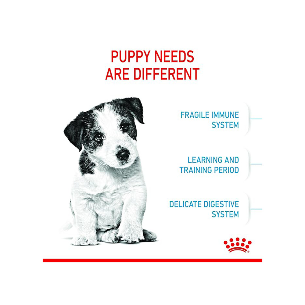 Royal Canin Mini Puppy Dog Dry Food