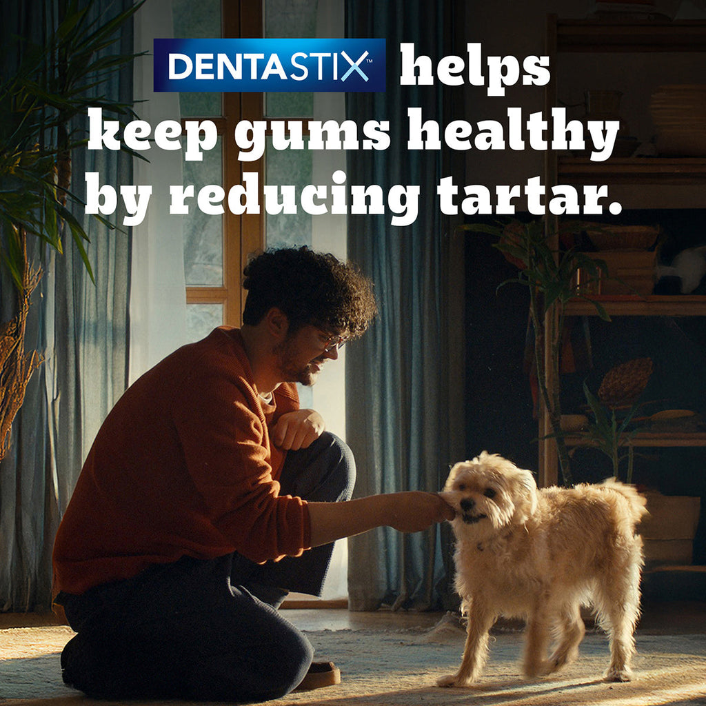Pedigree Dentastix Oral Care for Adult (Medium Breed of 10 to 25 kg) Dog Treats