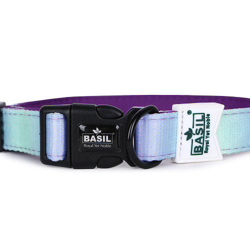 Basil Adjustable Padded Collar for Dogs (Purple/Blue)