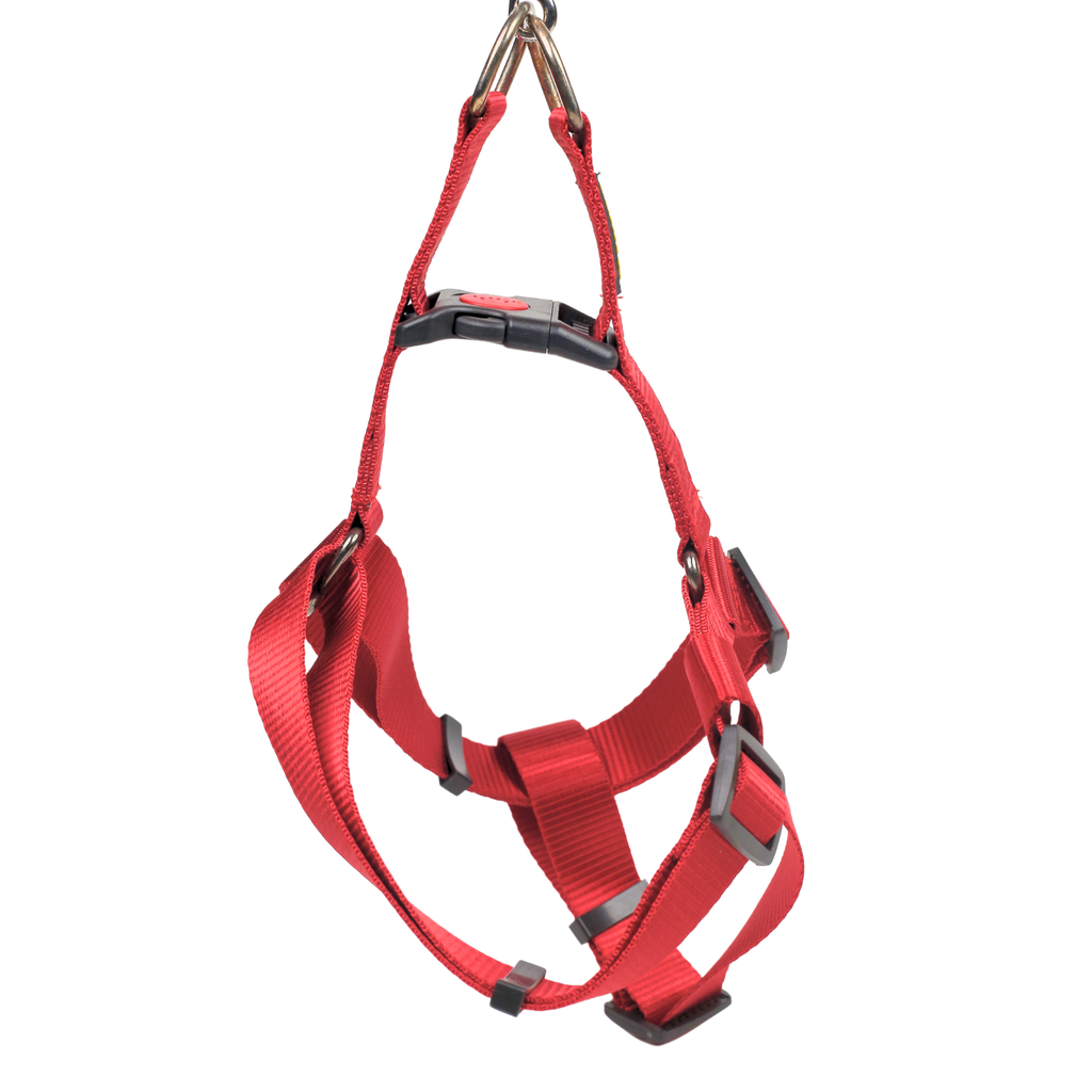 Petblush Y Harness with Lock Buckle For Dogs