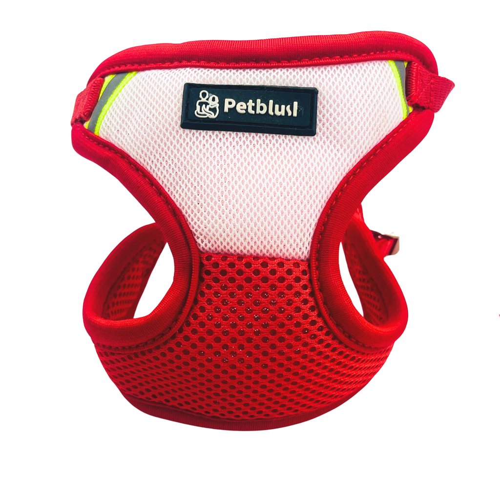 Petblush Dual Color Net Harness Set for Puppies & Cats