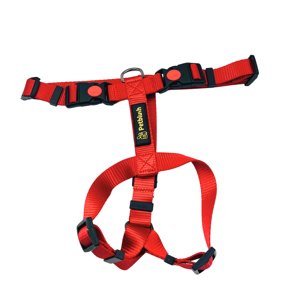 Petblush H Harness with Lock Buckle For Dogs
