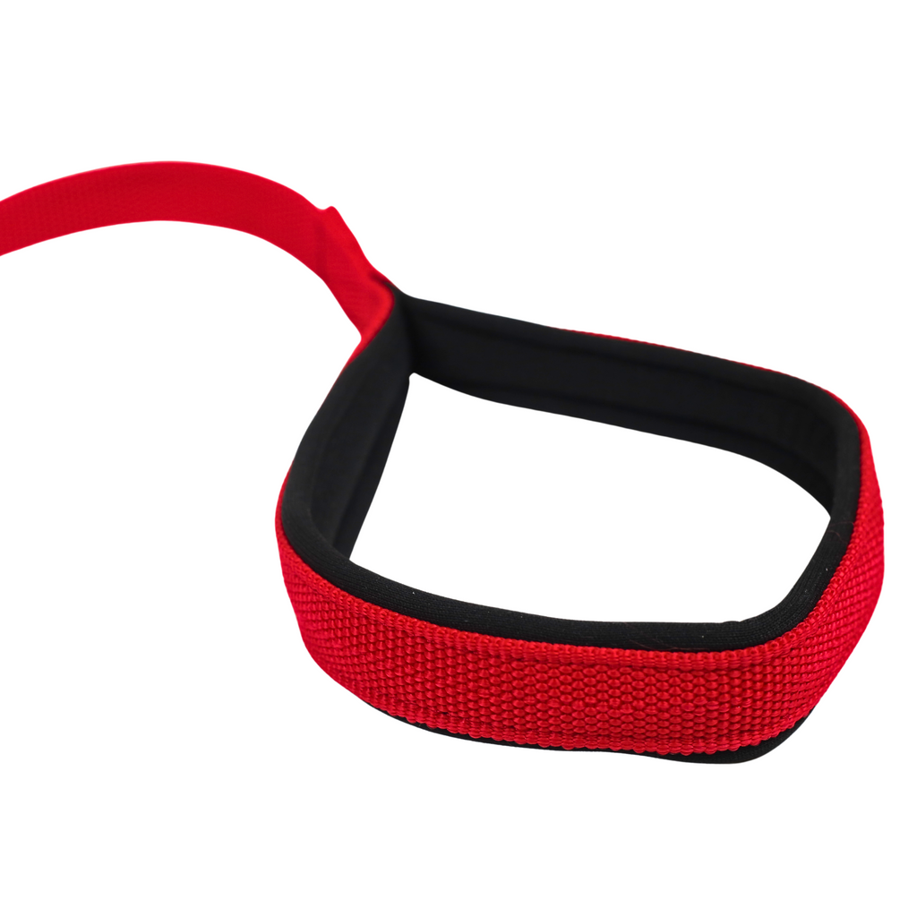 Petblush Everyday Dog Leash with Padded Handle