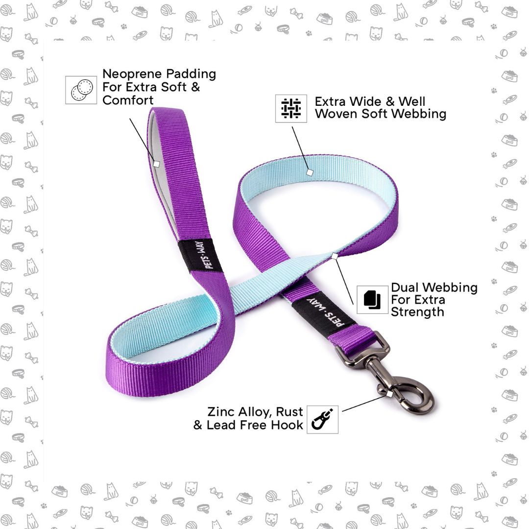 Amethyst & Sky - Dual Color Leash