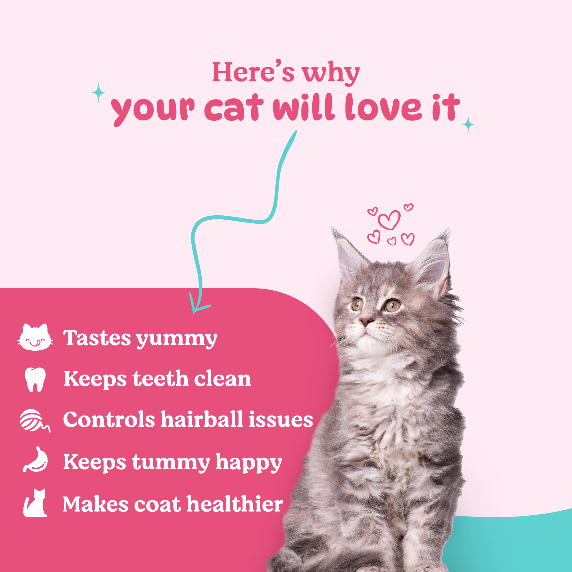 BASIL PURRfect Dental Stick Tuna Chicken Treat for Cats & Kittens | 44 Grams