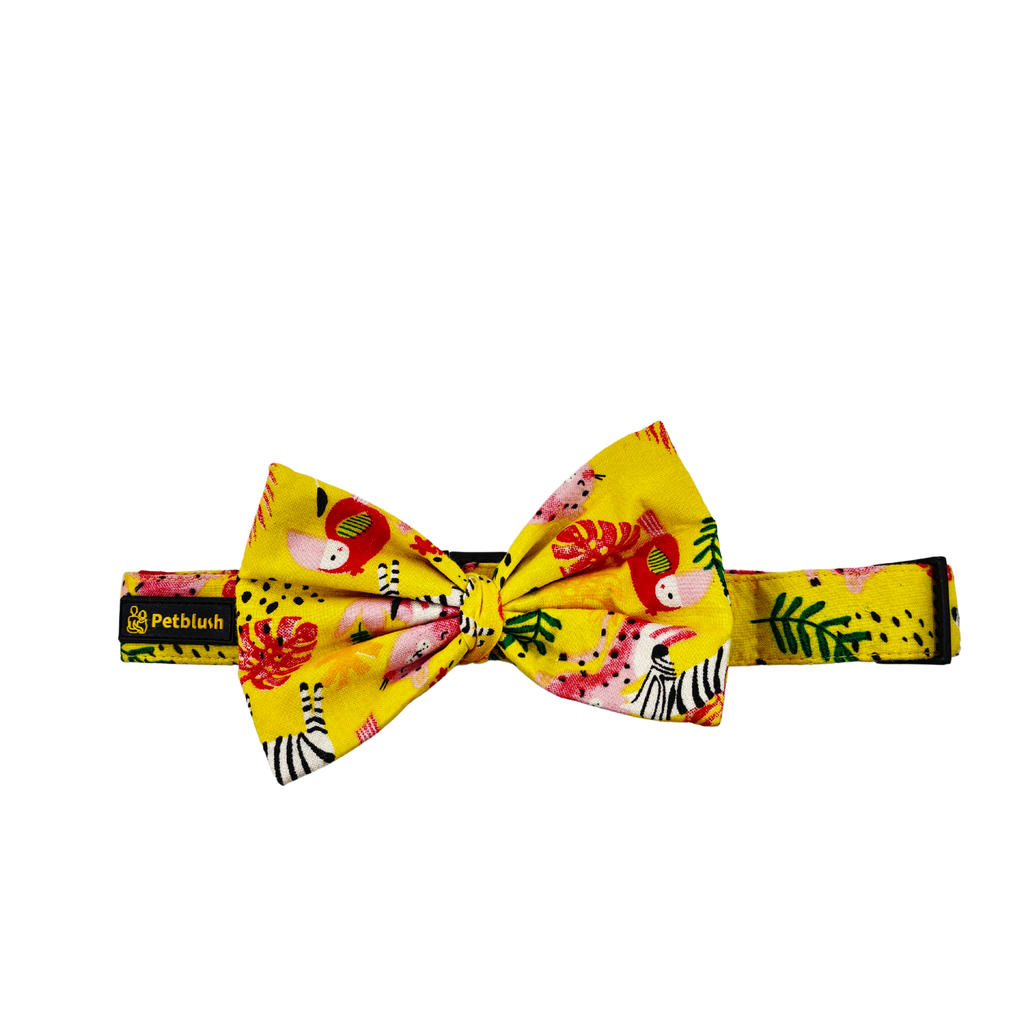 PetBlush Zoo Print Collar