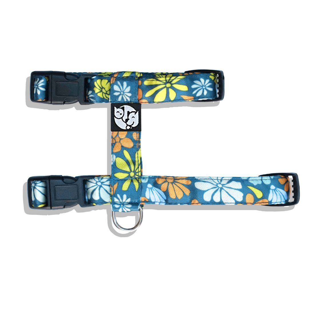 Bold Bloom Puppy & Cat Collar Leash Harness Set