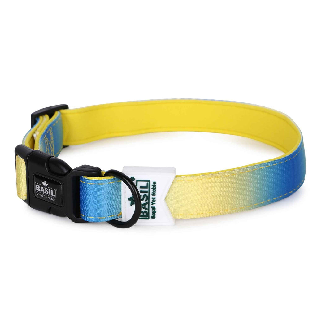 Padded Adjustable Collar for Dogs, Cats & Puppies (Blue & Yellow)