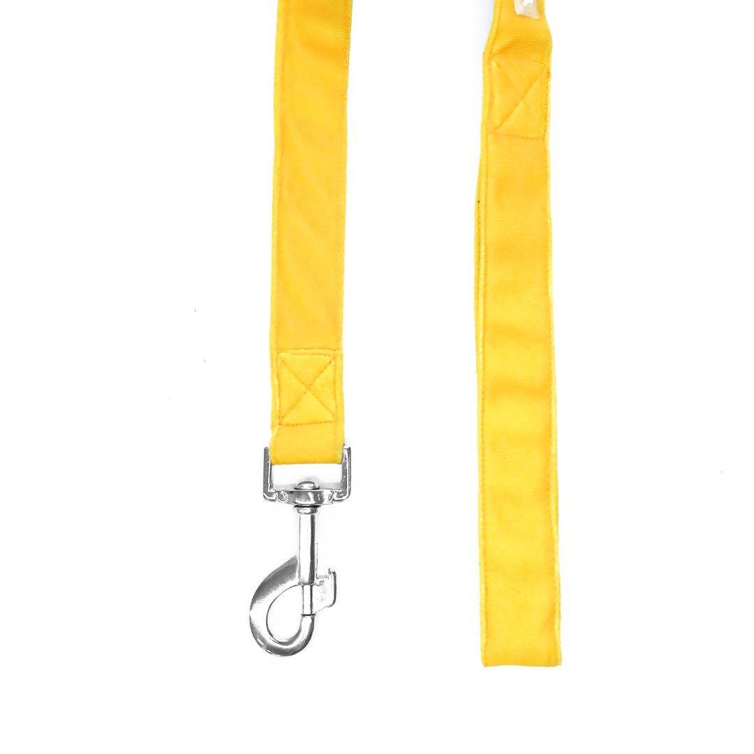 Amber Luxury Velvet Leash