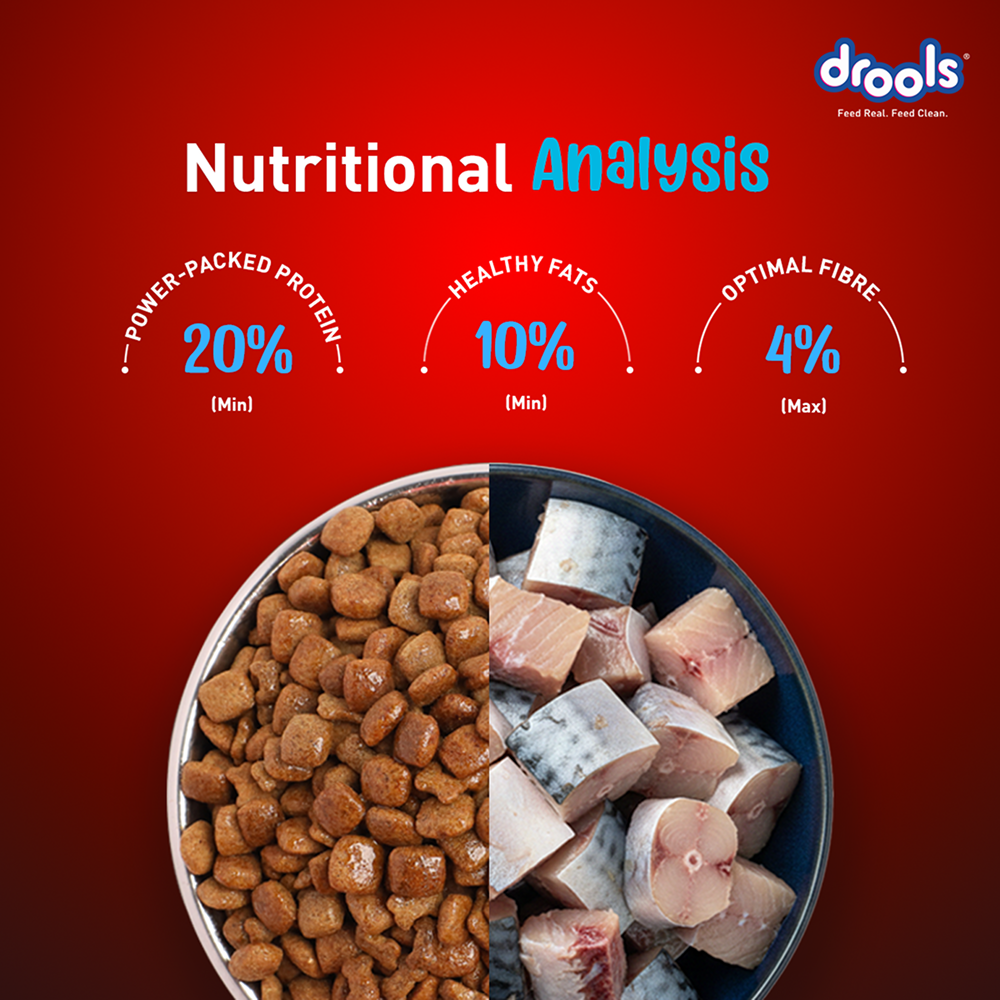Drools Fish and Rice Adult Dog Dry Food