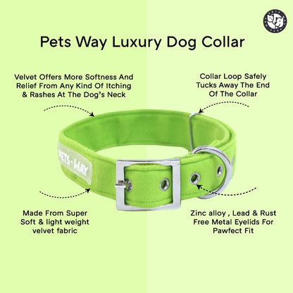 Royal Blue Luxury Velvet Collar
