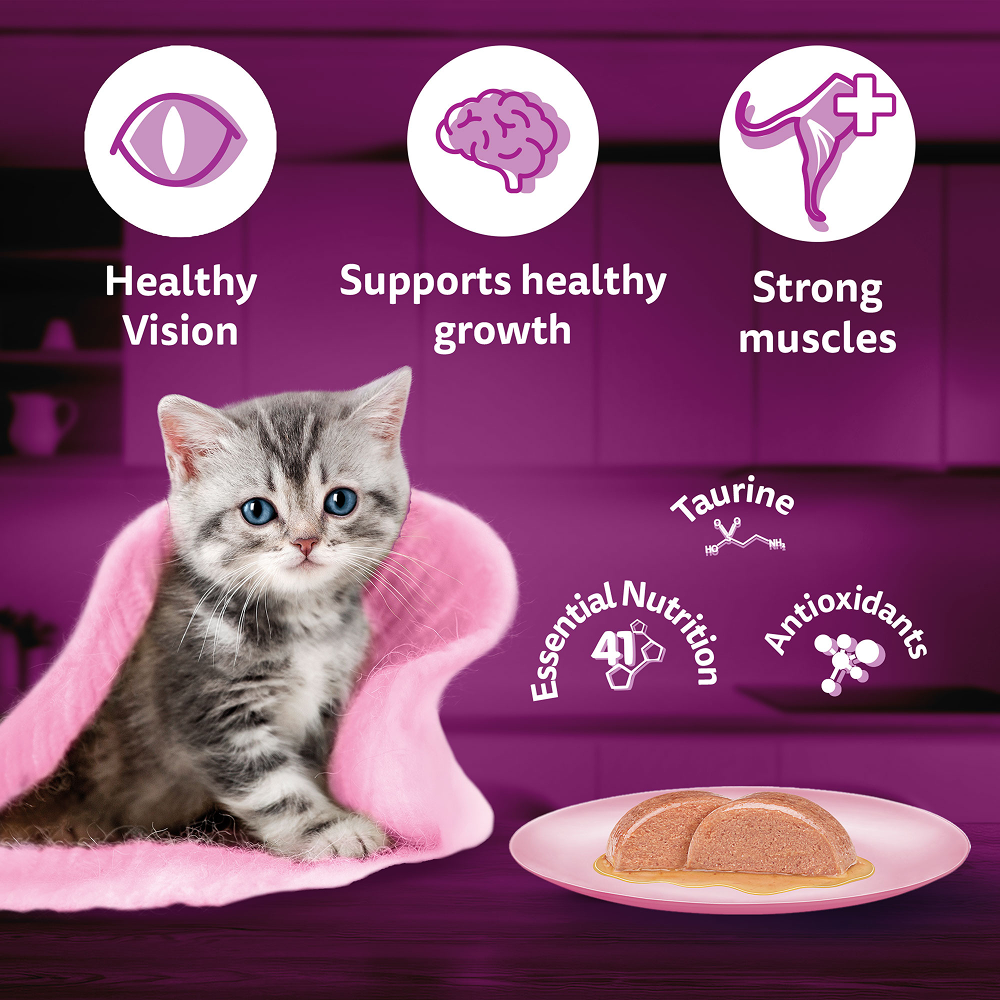 Whiskas Junior Mackerel Flavour Kitten (2-12 months) Cat Wet Food