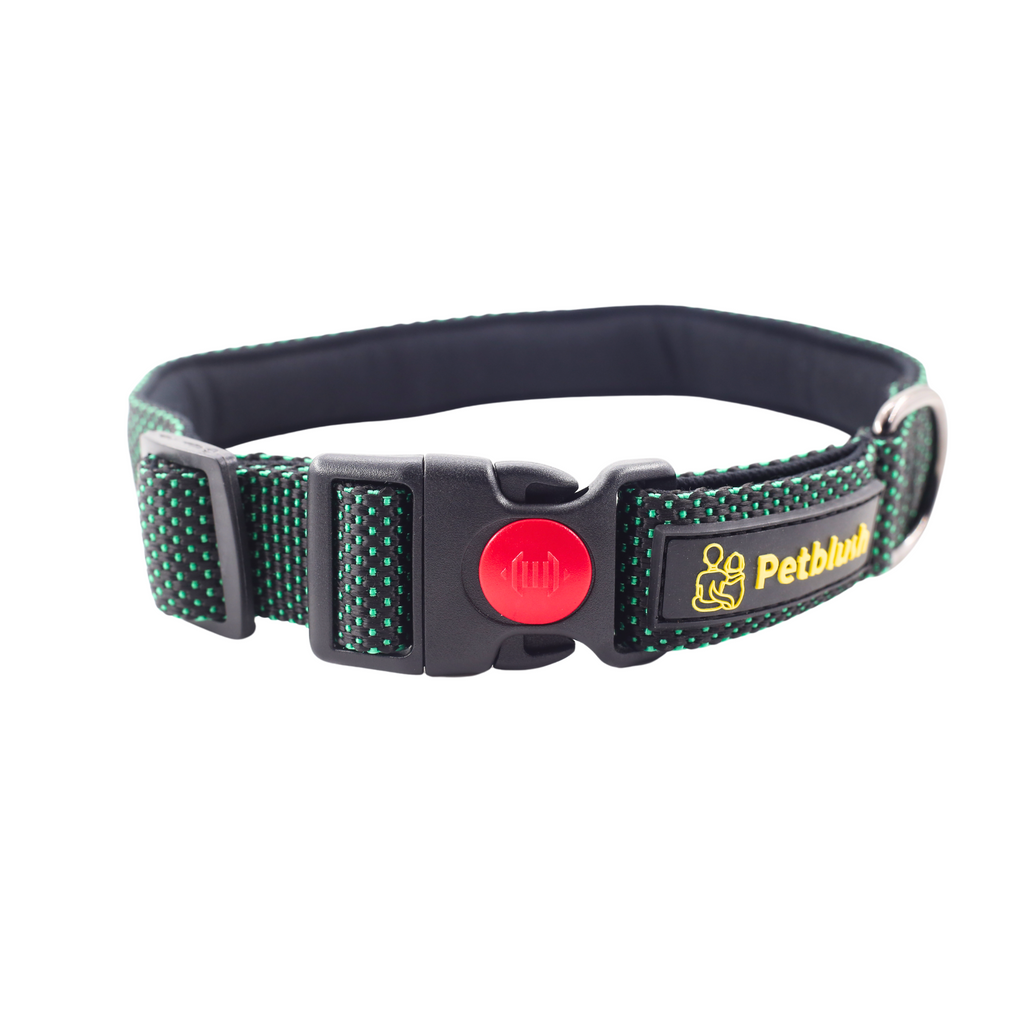 Petblush Dotted Padded Collar With Lock Buckle