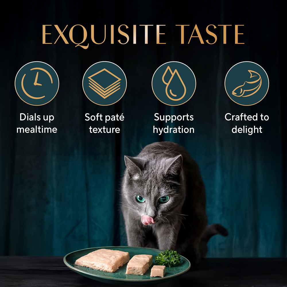 Sheba Katsuo Pate Rich Premium Adult Fine Cat Wet Food