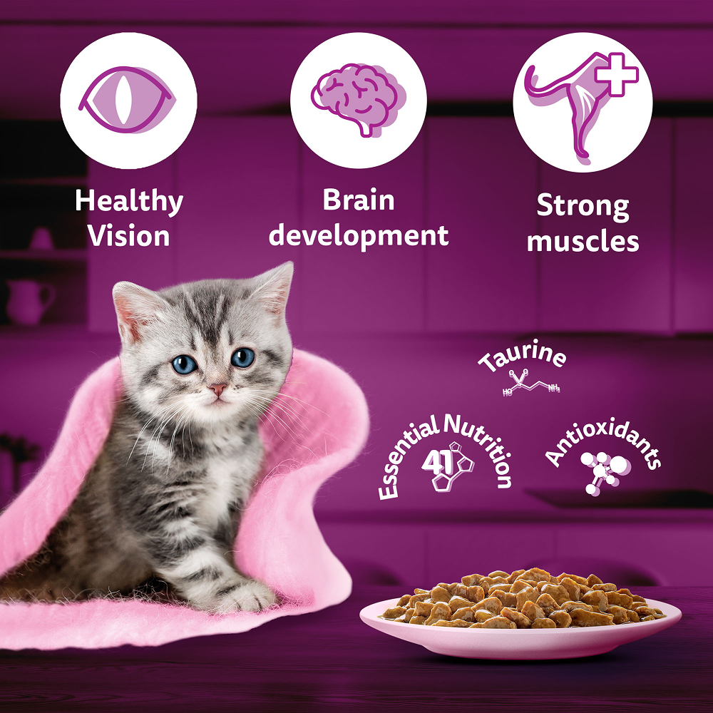Whiskas Tuna in Jelly Kitten Cat Wet Food (80g)
