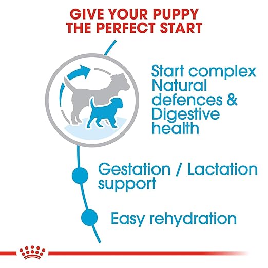 Royal Canin Mini Starter, Mother & Babydog Dry Food