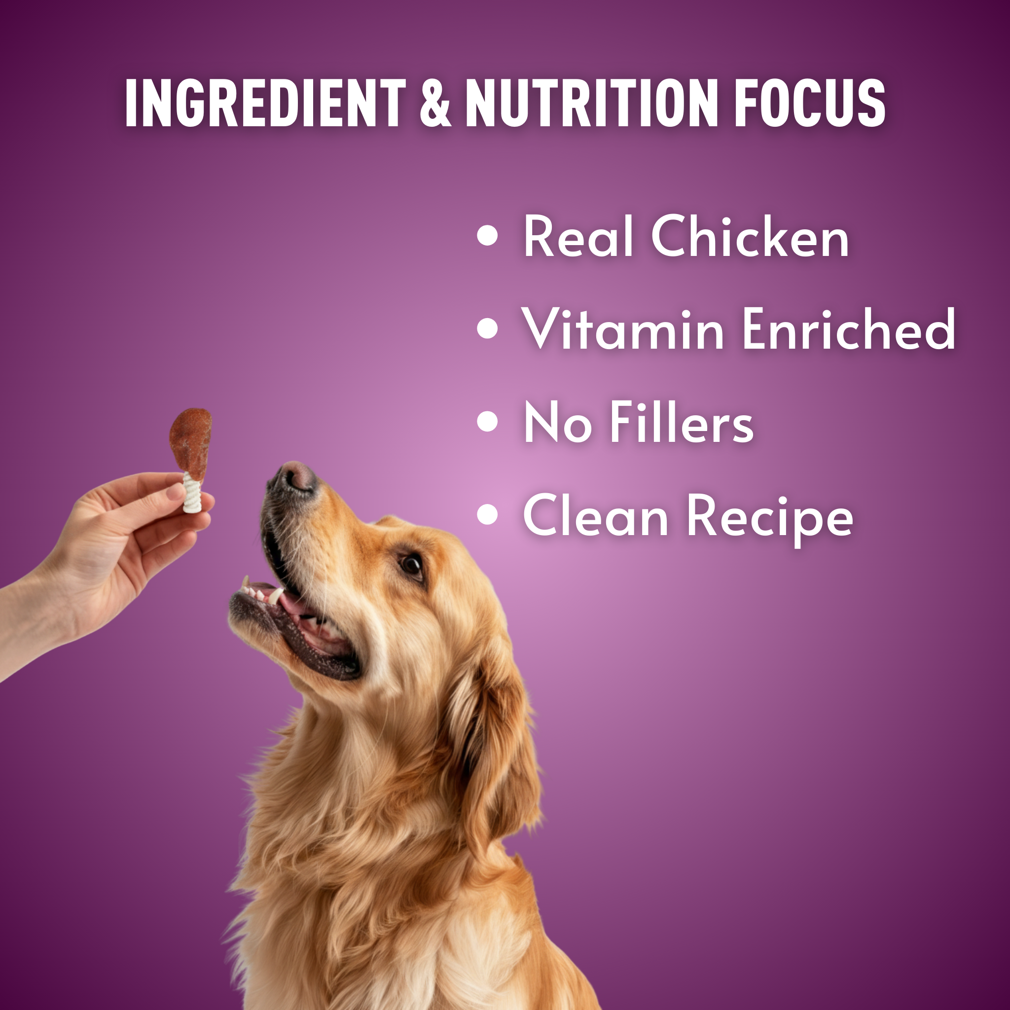 BASIL Chicken Lollipop Guilt-Free Treat for Dogs & Puppies | 92 Grams