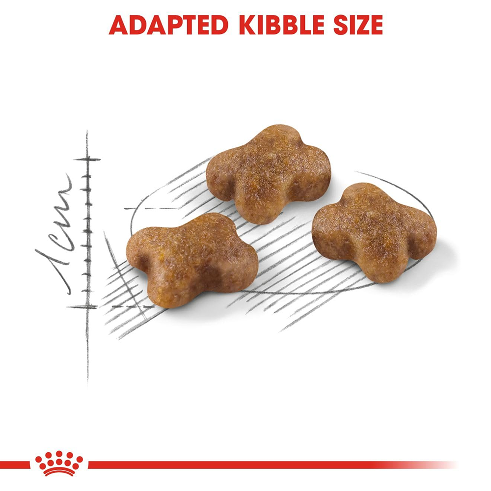 Royal Canin Kitten Cat Dry Food