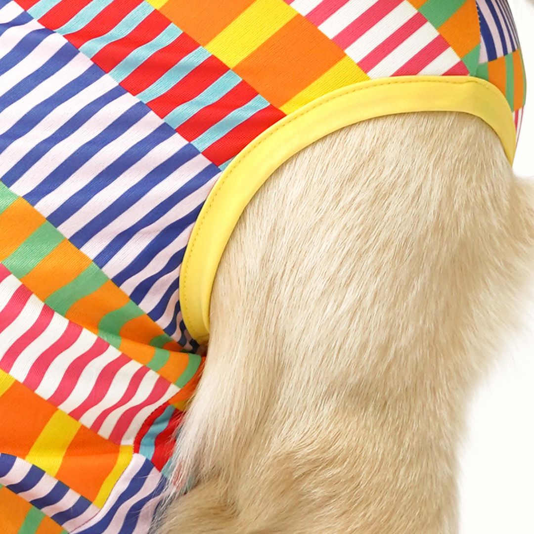 Retro Printed Dog Vest