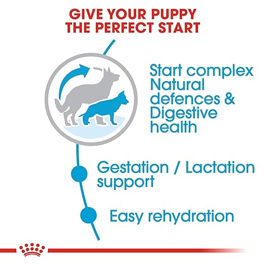 Royal Canin Maxi Starter, Mother & Babydog Dry Food