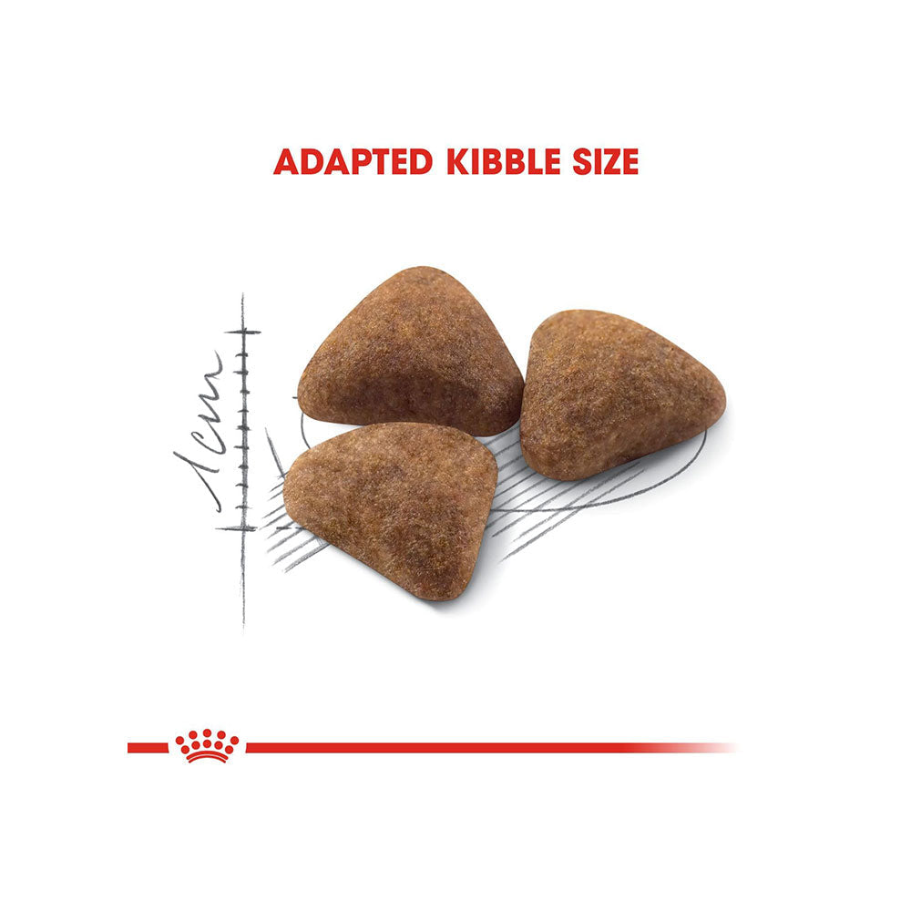 Royal Canin Indoor 27 Dry Cat Food