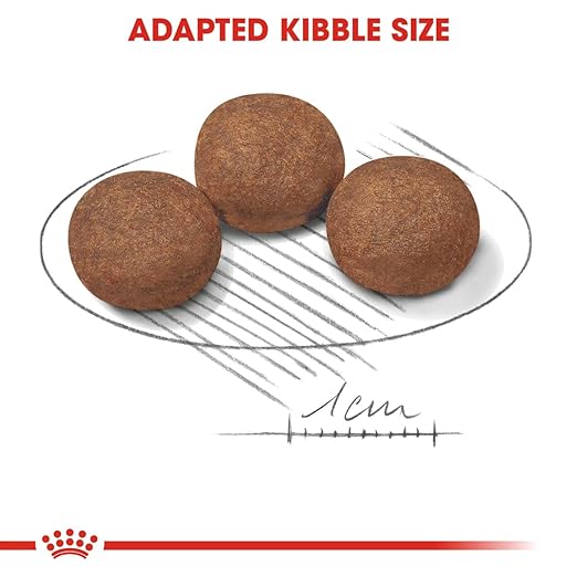 Royal Canin Medium Puppy Dog Dry Food
